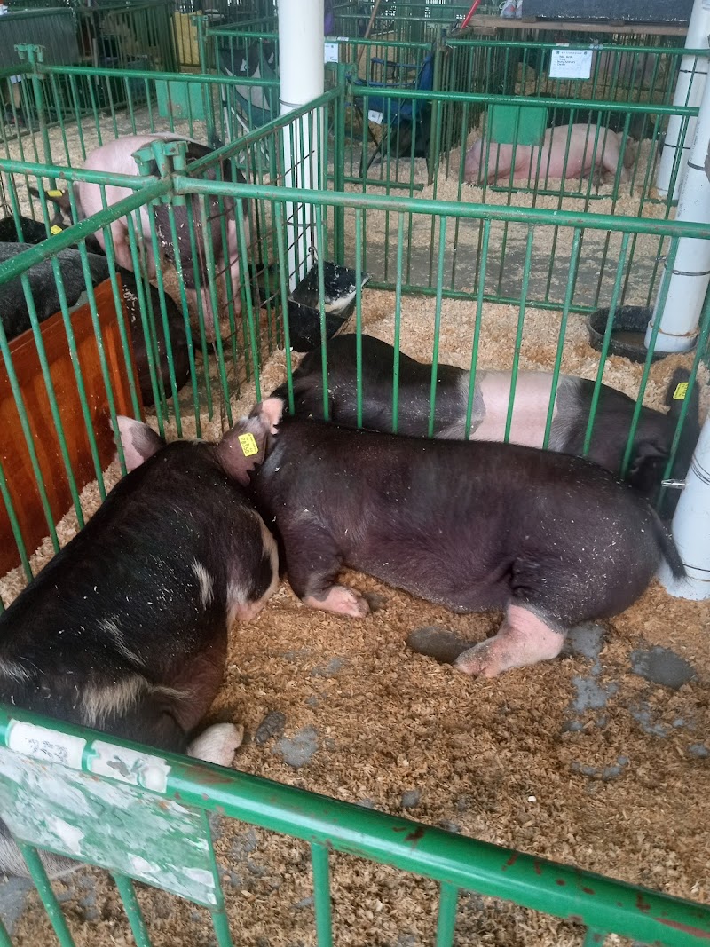 LaPorte County Fairgrounds photo 11