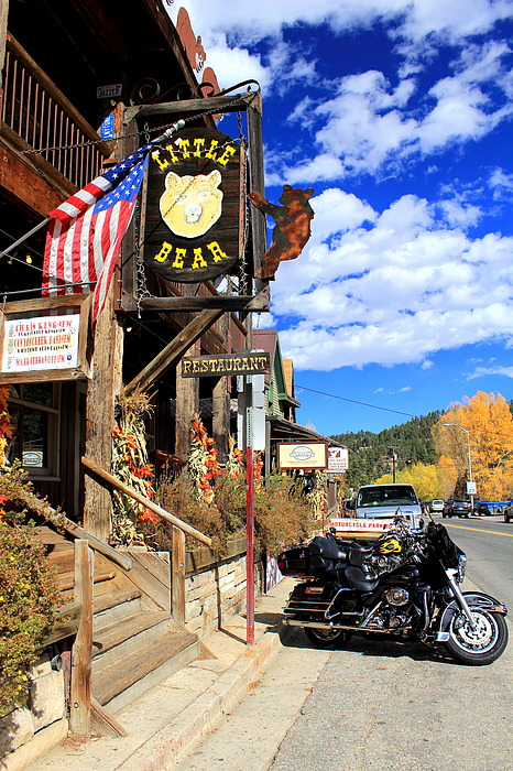 Little Bear Saloon photo 11