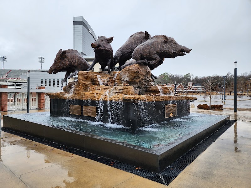 Donald W. Reynolds Razorback Stadium photo 2