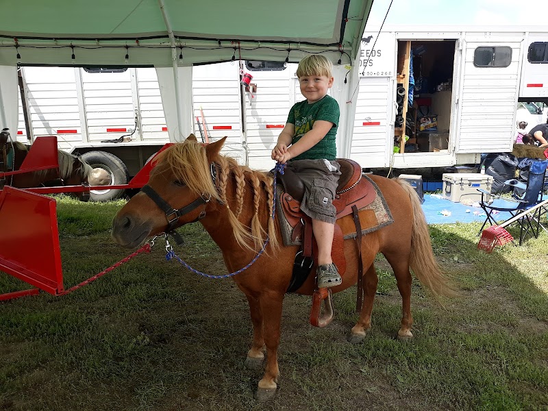 Brown County Fairgrounds photo 7
